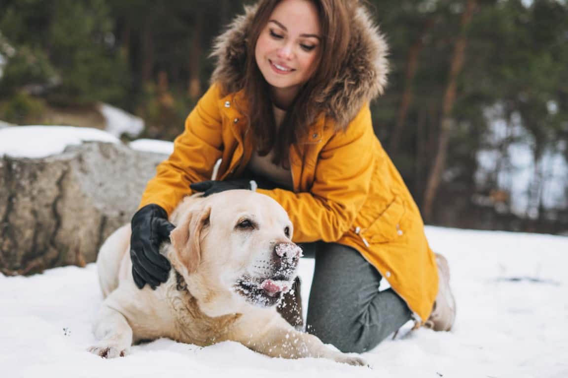Young smiling woman in yellow jacket with big kind white dog Lab